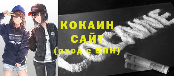 шишки Нея