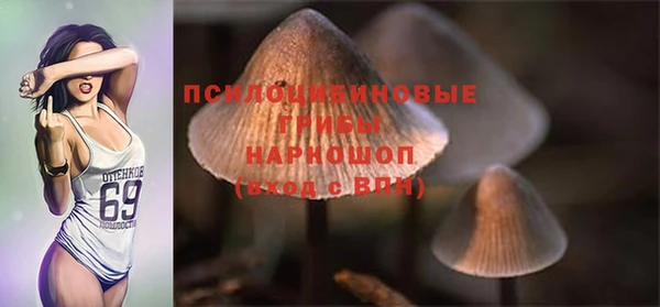 меф Нефтегорск