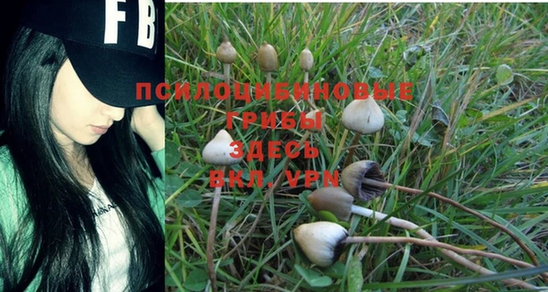 шишки Нея