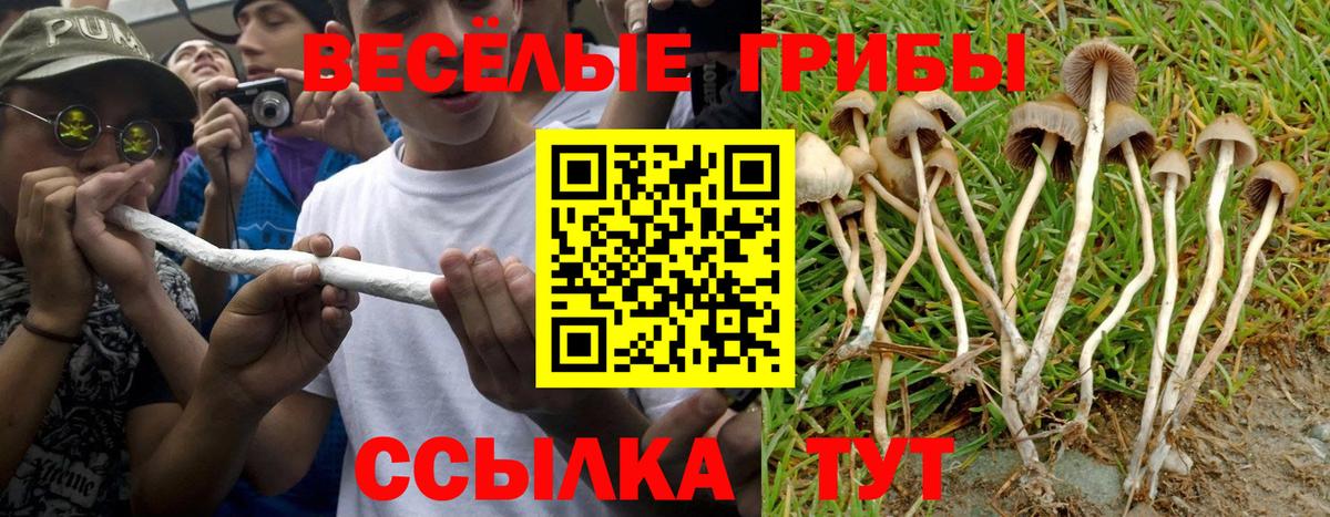 Галлюциногенные грибы мухоморы  Галлюциногенные грибы прущие грибы  Вход с VPN  Тулун 