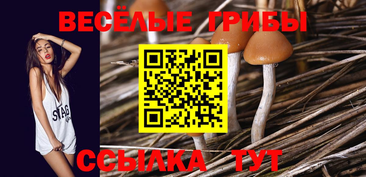Галлюциногенные грибы Cubensis  Тулун 